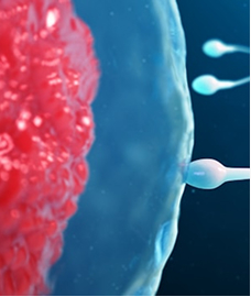 skrining fertilitas